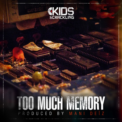 Mani Deiz - Too Much Memory (2012) 320 kbps