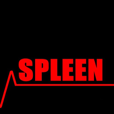 Spleen - Retrospective Vol. 1 (2013)