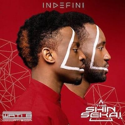 The Shin Sekai - Indefini (Single) (2016)