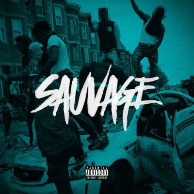 Various Artists - Sauvage (2016)