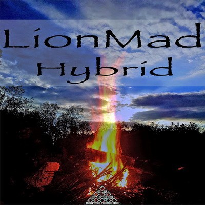 LionMad - Hybrid (2017)