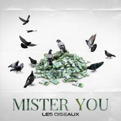 Mister You - Les Oiseaux (2020)