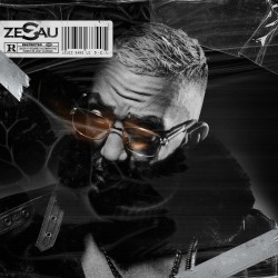 Zesau - D.E.L (2020)